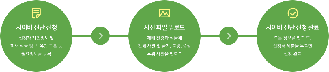 사이버 진단의뢰 절차