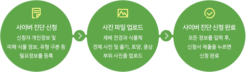 사이버 진단의뢰 절차